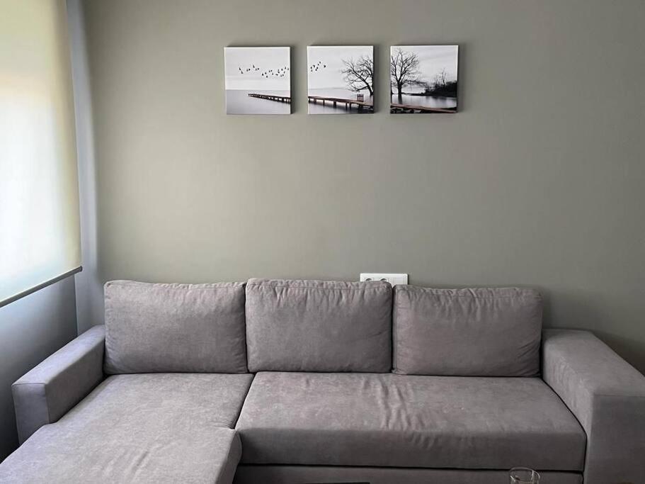 Apartamentos Camino A Ribeira Кирога Экстерьер фото